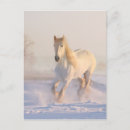 Recherche de chevaux neige cartes postales Hiver