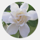 Search for gorgeous stickers Flower