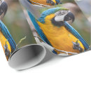 Search for macaw wrapping paper Blue