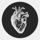 Search for heart anatomy stickers Biology