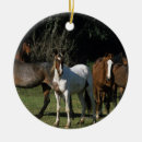 Search for wild one ornaments Equestrian