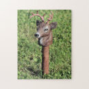 Recherche de cerf puzzles Pour elle