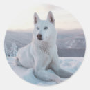 Search for malamute stickers Puppy