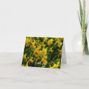 Recherche de daffodil remerciements cartes Narcisse