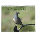 Recherche de chant photographie Nature
