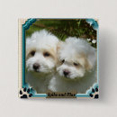 Search for magnetic buttons Dog
