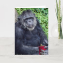 Recherche de boire de singe Anniversaire