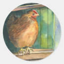 Search for barnyards stickers Watercolor