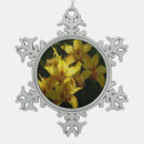Recherche de orchidée ornements Photographie