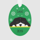 Search for color ornaments White