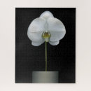 Recherche de orchidée blanche puzzles Fleur