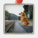 Search for train photo ornaments Cute