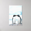 Search for beak canvas prints Animal