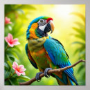 Search for colorful swirls posters Modern