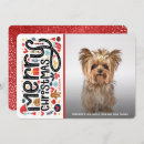 Search for new puppy cards Modern