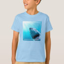 Recherche de requins photographie Grand blanc