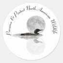 Search for loon stickers Bird