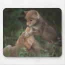 Search for coyotes mousepads Horizontal