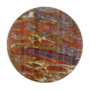 Search for dinosaur cookware Gemstone