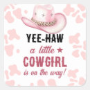 Search for western stickers Cowgirl
