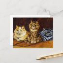 Recherche de chat persan cartes postales Portrait