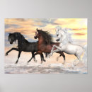 Recherche de cheval de baie posters Chevaux