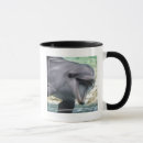 Search for beautiful dolphin mugs Animals