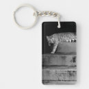Search for stray keychains Cute