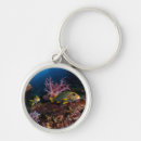 Search for scuba diving keychains Adventure