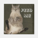 Recherche de chats magnets Humour