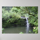 Search for rain forests posters Hawaii