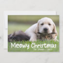 Search for cat family christmas cards Whimsical