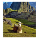 Recherche de pique nique posters Extérieur