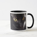 Search for halloween mugs Feline