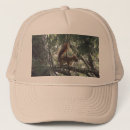 Search for red squirrel hats Nature