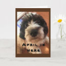 Search for bow wow Birthday