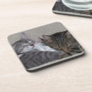 Search for asleep barware Cute