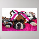 Recherche de pom pom girl posters Cheer