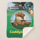 Search for warner brothers blankets Bill murray