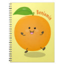 Search for clementine notebooks Orange