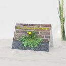 Search for positive message cards Encouragement