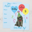 Recherche de terre neuve invitations Chiot