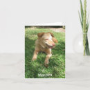 Recherche de charité vœux cartes Chien