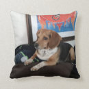 Search for beagle pillows Puppy
