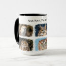 Search for hoot owl mugs Nature