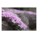 Recherche de journée de printemps posters Nature