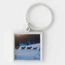 Search for mammal keychains Horizontal
