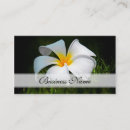 Recherche de frangipani cartes visite Affaires