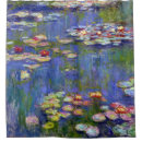 Search for reflection pond Monet