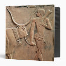 Search for relief binders Dynasty